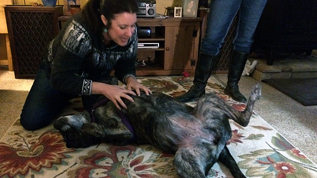 Kim plays with Coco, one of the many animals we've made friends with on this trip