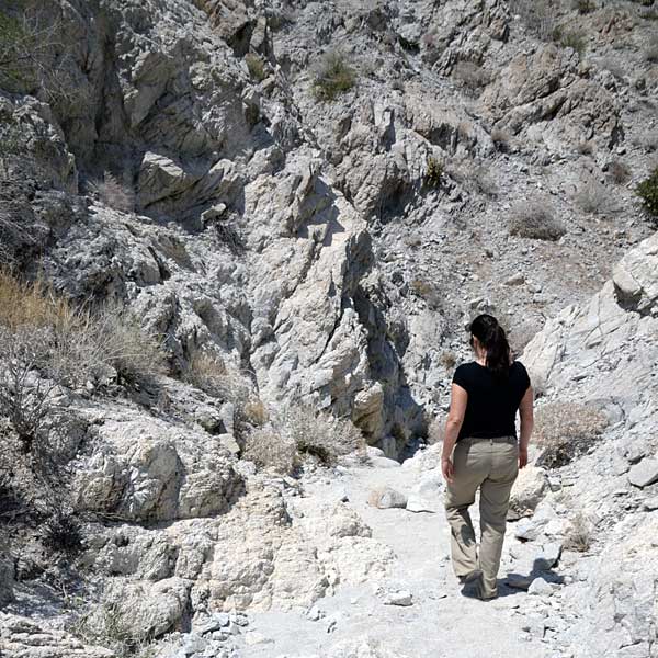 Hiking the Narrow Earth Trail.