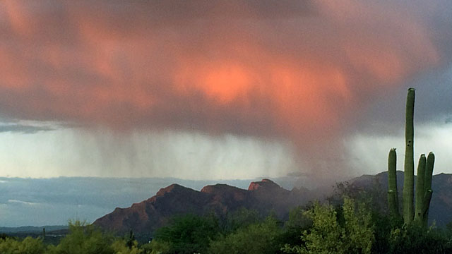 Desert rain outside Saguaro National Park