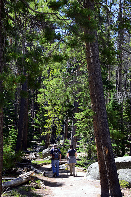 John and Kim, hiking through the forest