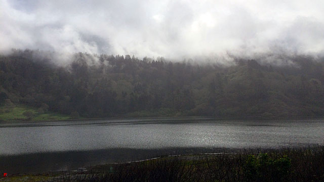 Our morning drive was shrouded in shadows and fog