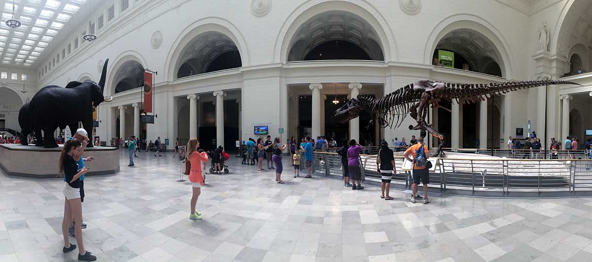 The Field Museum has many fun exhibits, including the most complete T-Rex in the world.